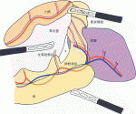 図02